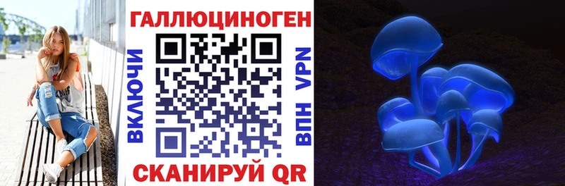 Псилоцибиновые грибы мицелий  Саратов 